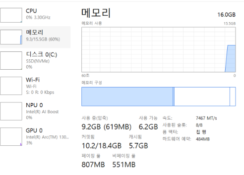 LG 그램 비정상 램 사용, 메모리 부족현상
